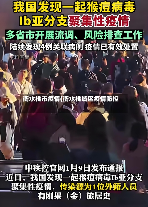 衡水桃市疫情(衡水桃城区疫情防控)-第1张图片