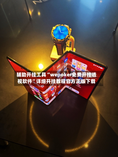 辅助开挂工具“wepoker免费开挂透视软件”详细开挂教程官方正版下载-第2张图片