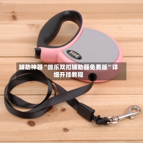 辅助神器“微乐双扣辅助器免费版”详细开挂教程-第2张图片