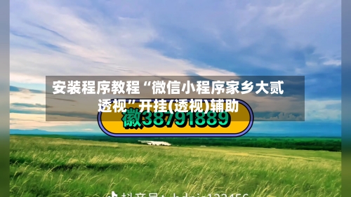安装程序教程“微信小程序家乡大贰透视	”开挂(透视)辅助-第2张图片