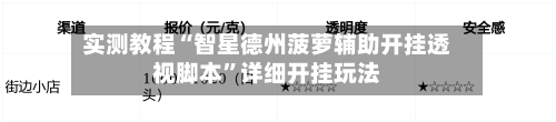 实测教程“智星德州菠萝辅助开挂透视脚本	”详细开挂玩法-第2张图片