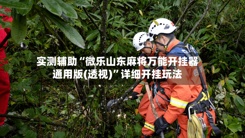 实测辅助“微乐山东麻将万能开挂器通用版(透视)	”详细开挂玩法-第1张图片