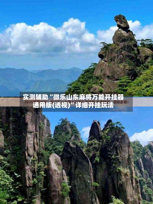 实测辅助“微乐山东麻将万能开挂器通用版(透视)”详细开挂玩法-第2张图片