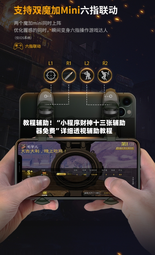 教程辅助！“小程序财神十三张辅助器免费”详细透视辅助教程-第1张图片
