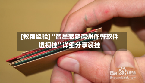 [教程经验]“智星菠萝德州作弊软件透视挂”详细分享装挂-第3张图片