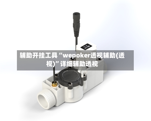 辅助开挂工具“wepoker透视辅助(透视)”详细辅助透视-第3张图片