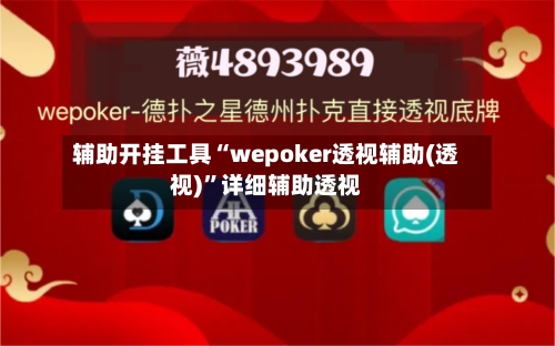 辅助开挂工具“wepoker透视辅助(透视)	”详细辅助透视-第2张图片