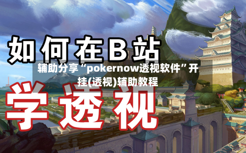 辅助分享“pokernow透视软件”开挂(透视)辅助教程-第3张图片
