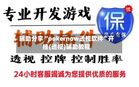 辅助分享“pokernow透视软件”开挂(透视)辅助教程-第1张图片