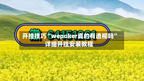 开挂技巧“wepoker真的有透视吗”详细开挂安装教程-第1张图片