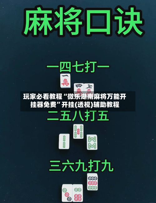 玩家必看教程“微乐湖南麻将万能开挂器免费	”开挂(透视)辅助教程-第2张图片