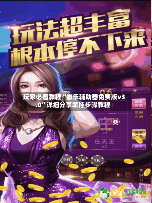 玩家必看教程“微乐辅助器免费版v3.0	”详细分享装挂步骤教程-第2张图片