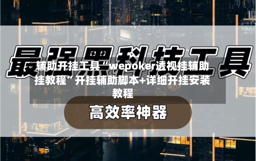 辅助开挂工具“wepoker透视挂辅助挂教程”开挂辅助脚本+详细开挂安装教程-第2张图片