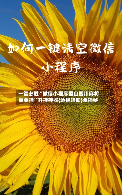 一键必胜“微信小程序蜀山四川麻将免费挂	”开挂神器{透视辅助}全揭秘-第2张图片