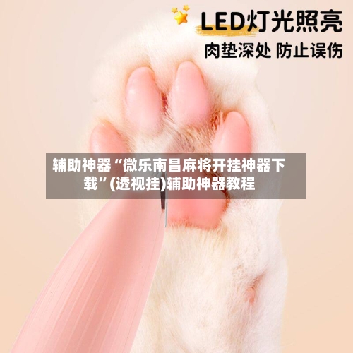 辅助神器“微乐南昌麻将开挂神器下载”(透视挂)辅助神器教程-第2张图片