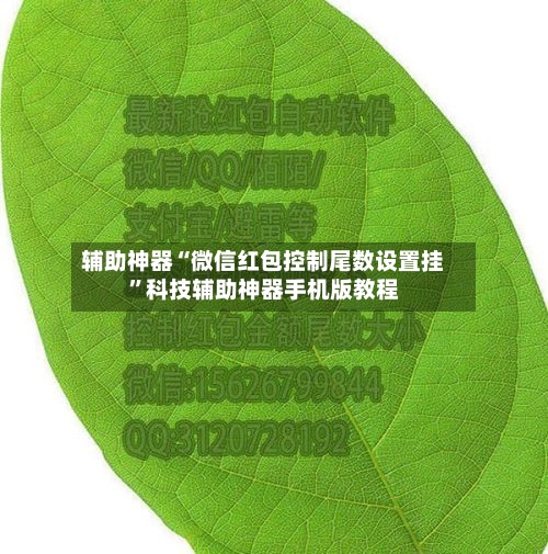 辅助神器“微信红包控制尾数设置挂”科技辅助神器手机版教程-第1张图片