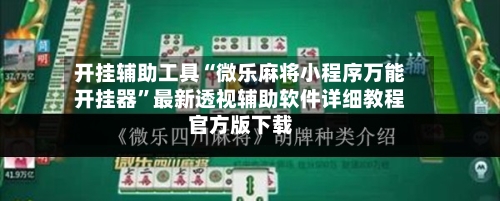 开挂辅助工具“微乐麻将小程序万能开挂器”最新透视辅助软件详细教程官方版下载-第2张图片