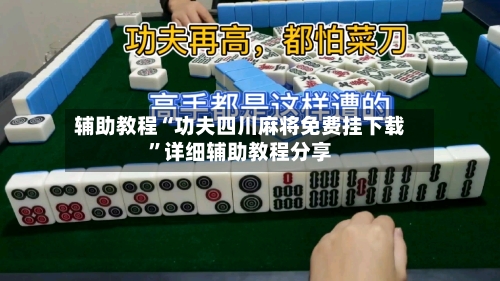 辅助教程“功夫四川麻将免费挂下载”详细辅助教程分享-第3张图片