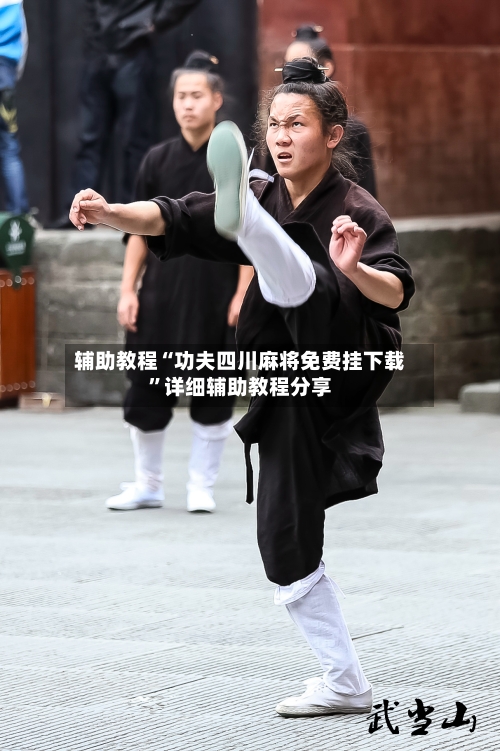 辅助教程“功夫四川麻将免费挂下载”详细辅助教程分享-第1张图片