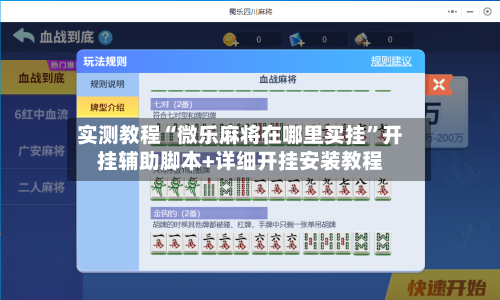 实测教程“微乐麻将在哪里买挂”开挂辅助脚本+详细开挂安装教程-第2张图片