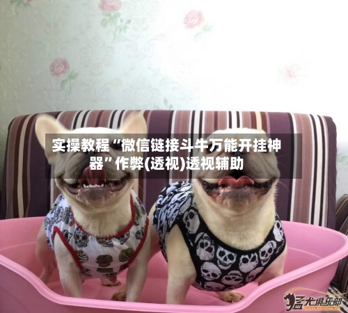实操教程“微信链接斗牛万能开挂神器”作弊(透视)透视辅助-第3张图片