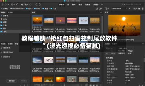 教程辅助“抢红包扫雷控制尾数软件”(曝光透视必备猫腻)-第2张图片