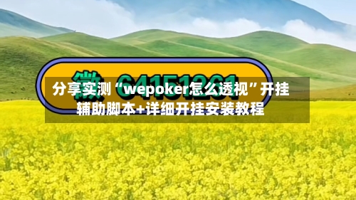 分享实测“wepoker怎么透视”开挂辅助脚本+详细开挂安装教程-第3张图片