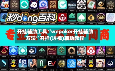开挂辅助工具“wepoker开挂辅助方法”开挂(透视)辅助教程-第1张图片