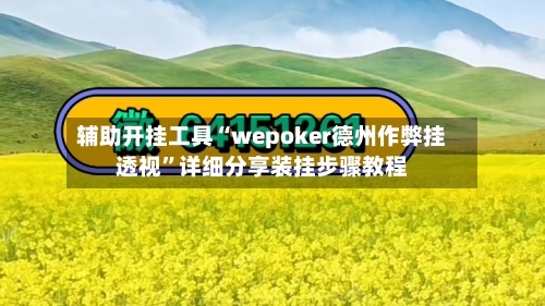 辅助开挂工具“wepoker德州作弊挂透视”详细分享装挂步骤教程-第3张图片