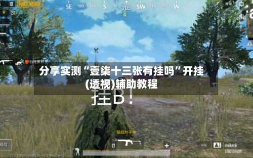 分享实测“壹柒十三张有挂吗”开挂(透视)辅助教程-第3张图片