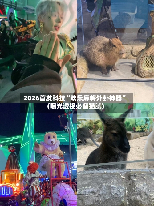 2026首发科技“欢乐麻将外卦神器”(曝光透视必备猫腻)-第3张图片