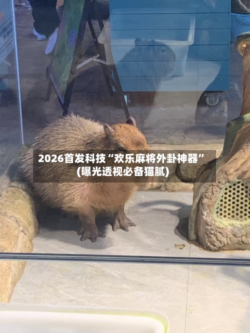 2026首发科技“欢乐麻将外卦神器	”(曝光透视必备猫腻)-第2张图片