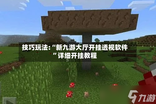 技巧玩法:“新九游大厅开挂透视软件”详细开挂教程-第1张图片