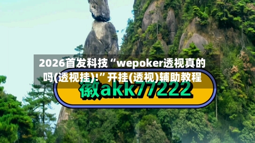 2026首发科技“wepoker透视真的吗(透视挂)!”开挂(透视)辅助教程-第3张图片
