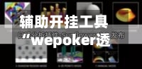 辅助开挂工具“wepoker透视脚本官网?”开挂(透视)辅助-第3张图片