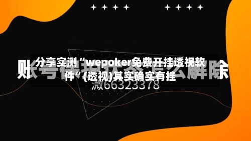 分享实测“wepoker免费开挂透视软件”(透视)其实确实有挂-第2张图片