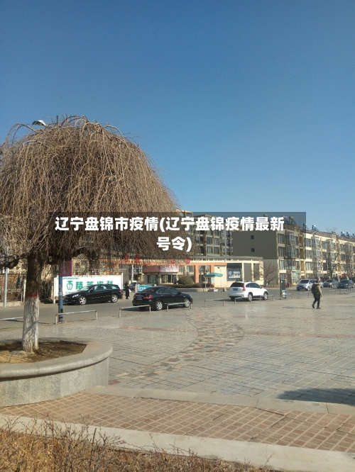 辽宁盘锦市疫情(辽宁盘锦疫情最新号令)-第2张图片