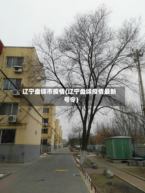 辽宁盘锦市疫情(辽宁盘锦疫情最新号令)-第1张图片