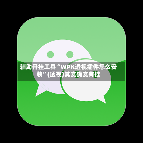 辅助开挂工具“WPK透视插件怎么安装	”(透视)其实确实有挂-第1张图片