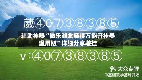 辅助神器“微乐湖北麻将万能开挂器通用版	”详细分享装挂-第1张图片