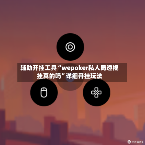 辅助开挂工具“wepoker私人局透视挂真的吗”详细开挂玩法-第2张图片