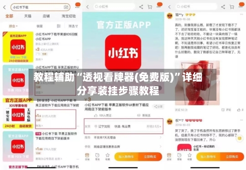 教程辅助“透视看牌器(免费版)	”详细分享装挂步骤教程-第2张图片