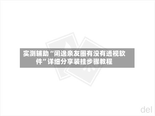 实测辅助“闲逸亲友圈有没有透视软件	”详细分享装挂步骤教程-第2张图片