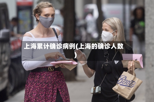 上海累计确诊病例(上海的确诊人数)-第1张图片
