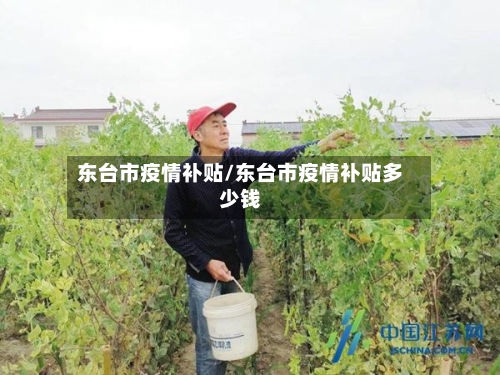 东台市疫情补贴/东台市疫情补贴多少钱-第3张图片