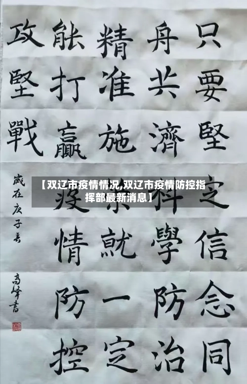 【双辽市疫情情况,双辽市疫情防控指挥部最新消息】-第2张图片