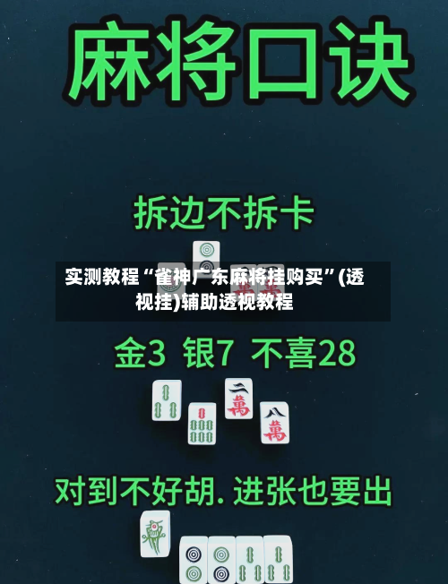 实测教程“雀神广东麻将挂购买”(透视挂)辅助透视教程-第3张图片