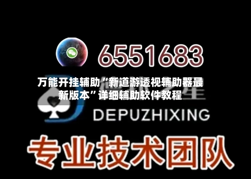 万能开挂辅助“新道游透视辅助器最新版本	”详细辅助软件教程-第1张图片