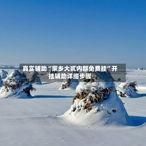真实辅助“家乡大贰内部免费挂”开挂辅助详细步骤-第3张图片