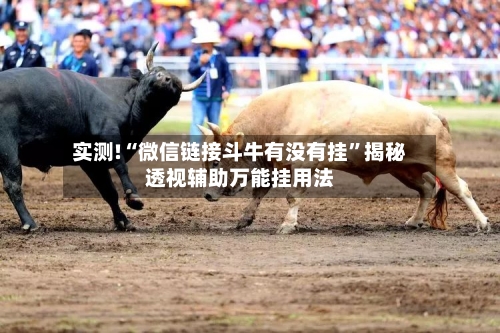 实测!“微信链接斗牛有没有挂”揭秘透视辅助万能挂用法-第1张图片